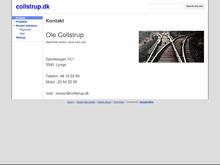 Ole Collstrup Fsr/Danske Revisorer