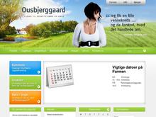 Revisionsfirmaet Flemming Hansen Statsautoriserede Revisorer A/S