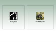 Handy Hegn